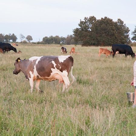 Agroturystyka Lolkowo Srokowo エクステリア 写真