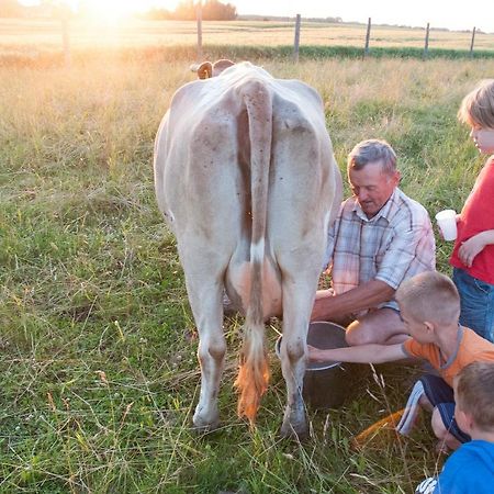 Agroturystyka Lolkowo Srokowo エクステリア 写真