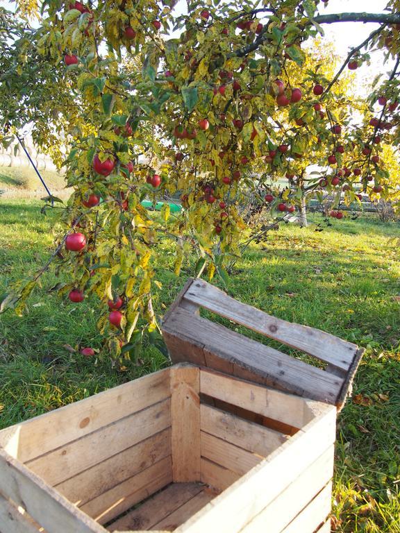 Agroturystyka Lolkowo Srokowo エクステリア 写真