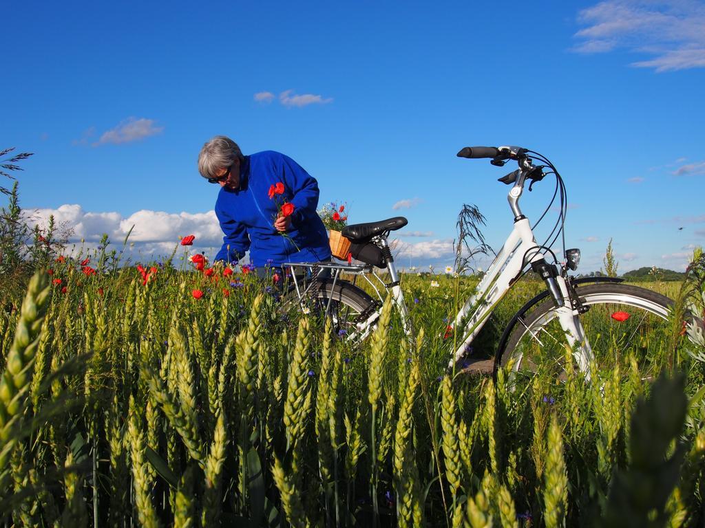Agroturystyka Lolkowo Srokowo エクステリア 写真
