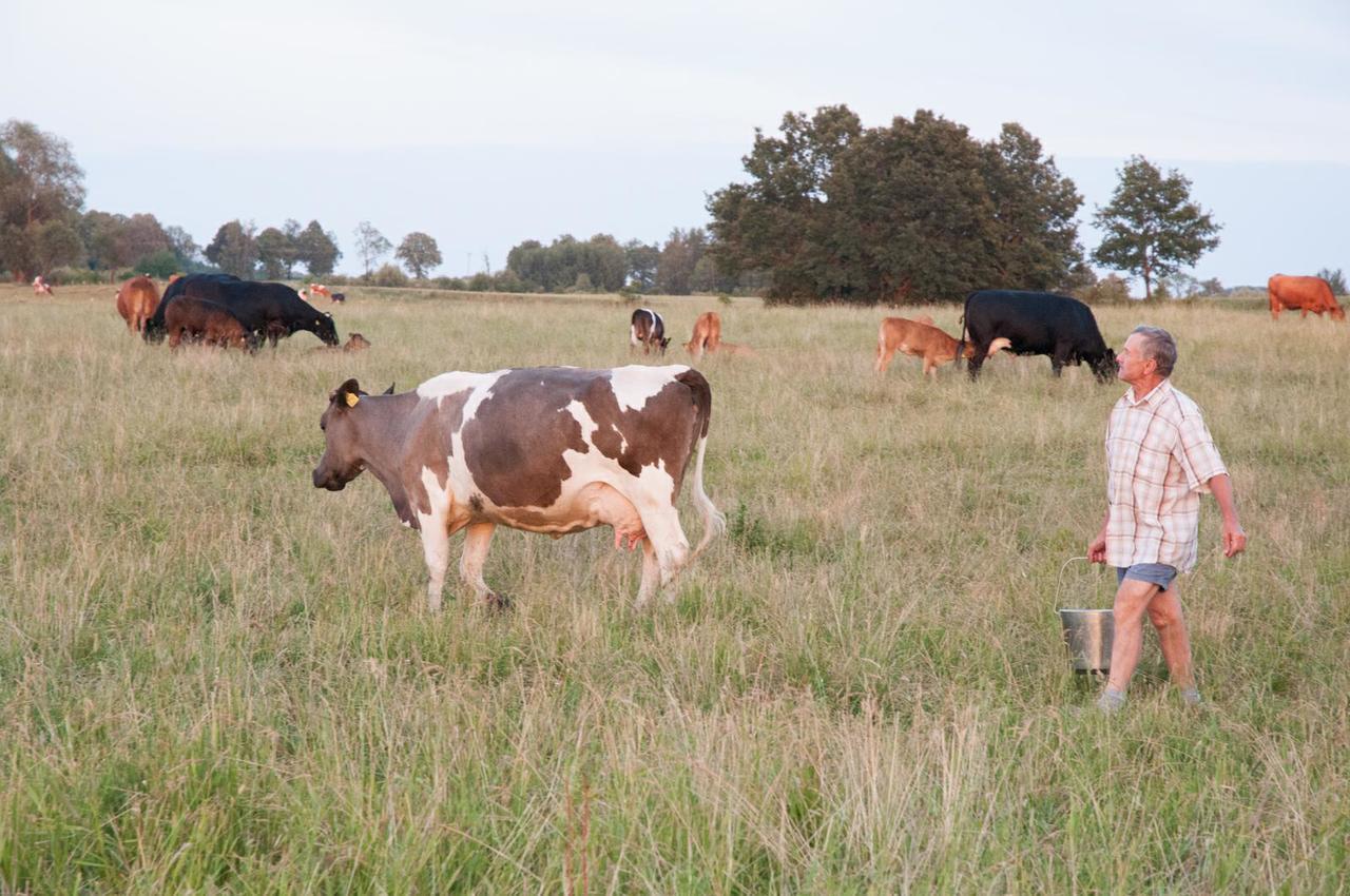 Agroturystyka Lolkowo Srokowo エクステリア 写真