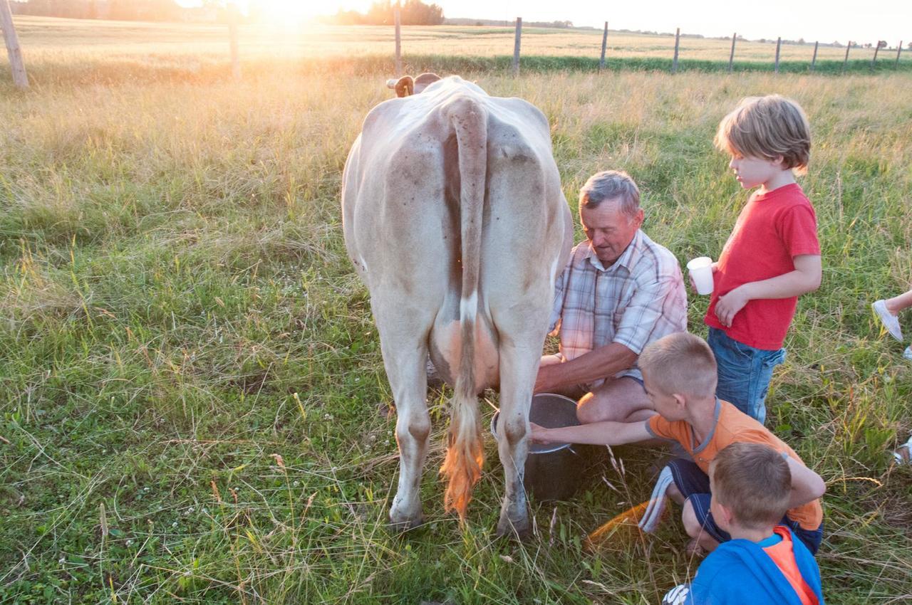 Agroturystyka Lolkowo Srokowo エクステリア 写真